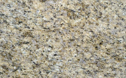 Amarillo Ornamental